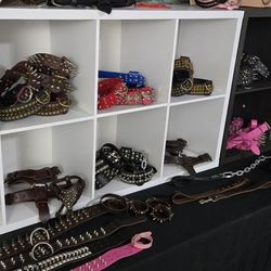 Dog Accessories 