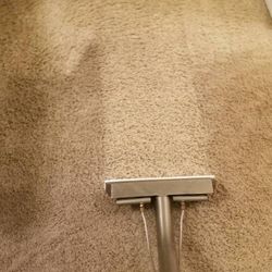 Steam Cleaner For Carpet And Upholstery 