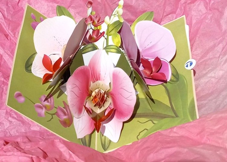 NEW Orchid Pop UP Greeting Card/ Note Card Post Card