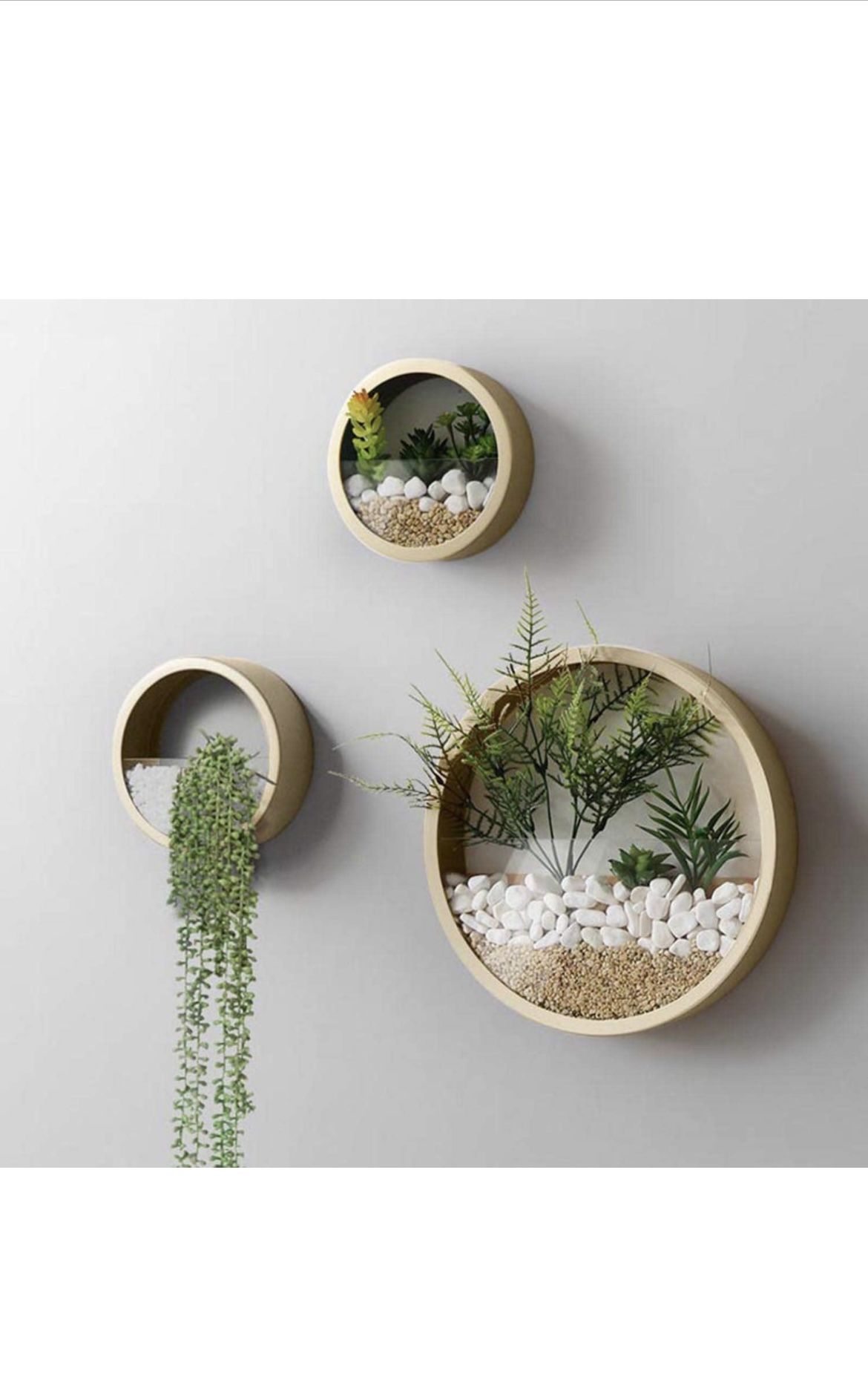 Modern Round Glass Wall Planter