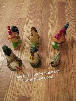 Rooster collection