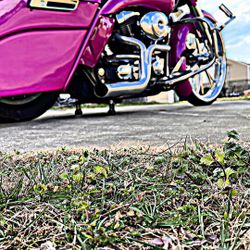 🥶 HARLEY DAVIDSON 4 SALE OR TRADE FOR A 24FT-26TF BOX TRUCK