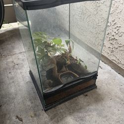 Zoo Med Tropical Reptile Terrarium