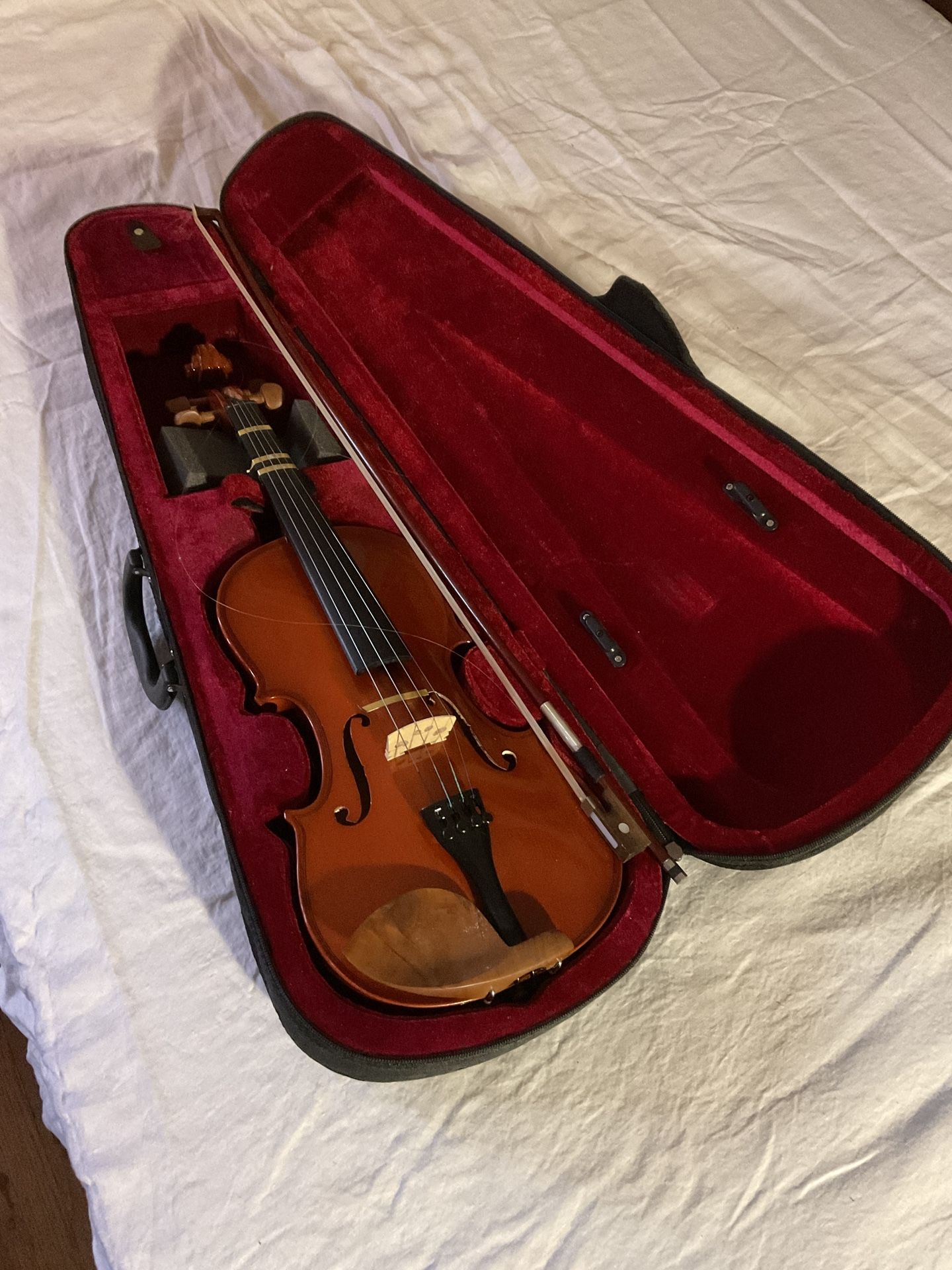 Violín With Case