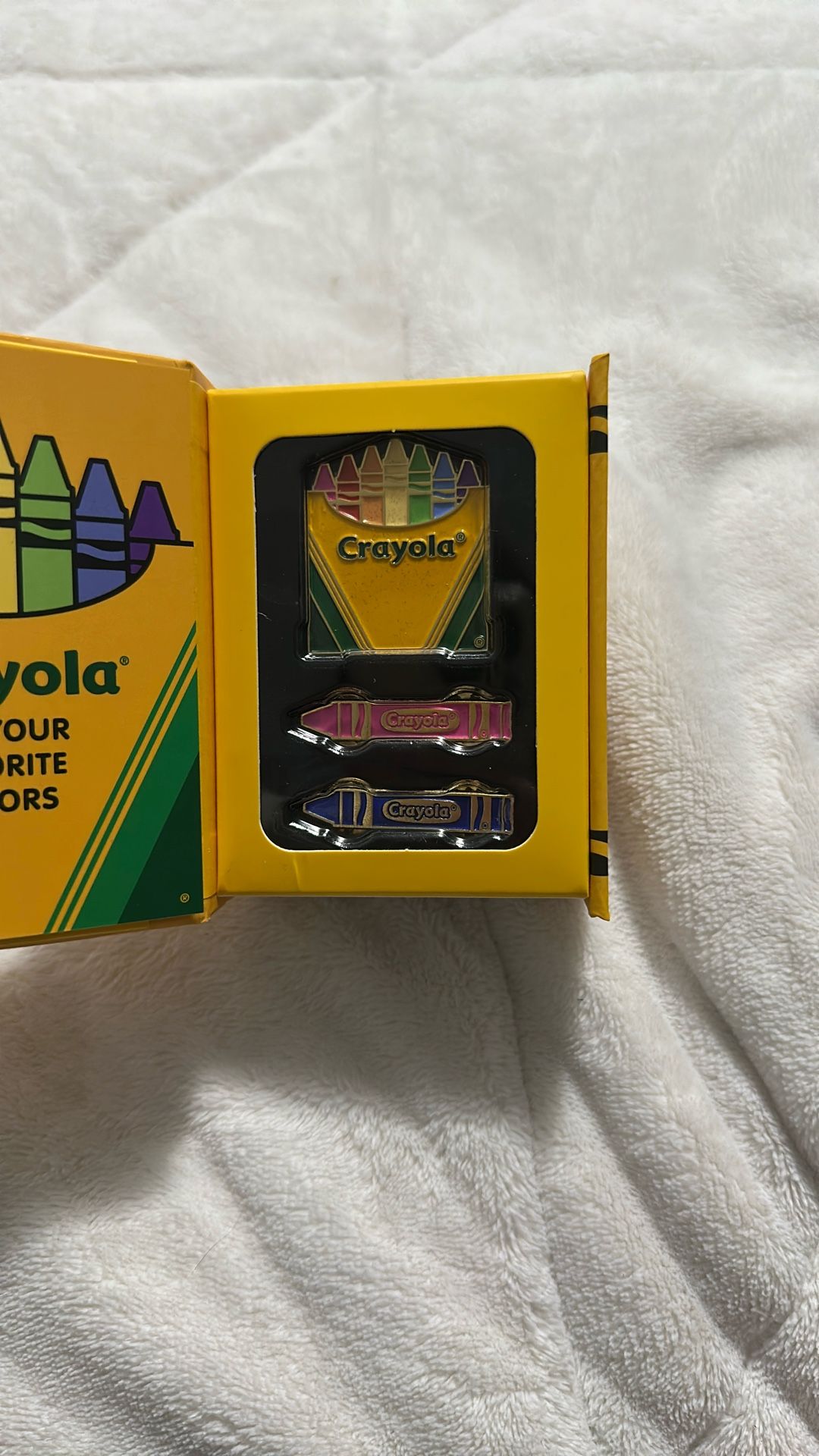 Crayola Pin Set