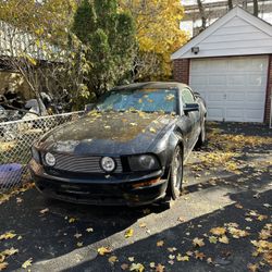 2006 Ford Mustang