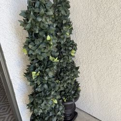 Fake Plant