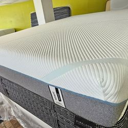 Mattress And Box Spring Size Queen 