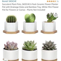 6 Ceramic Succulent Plant Pots 