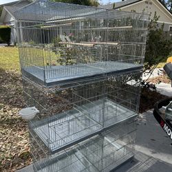 Jaulas Voladeras/ Bird Cage 