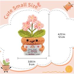 New Crocheted Potted Plant Daughter Gift
