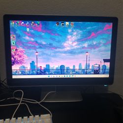 Hp Monitor  2009