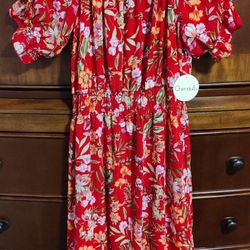 Gorgeous Women's Dress 