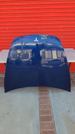 Tesla Model 3 Front Hood Panel 2024-2025