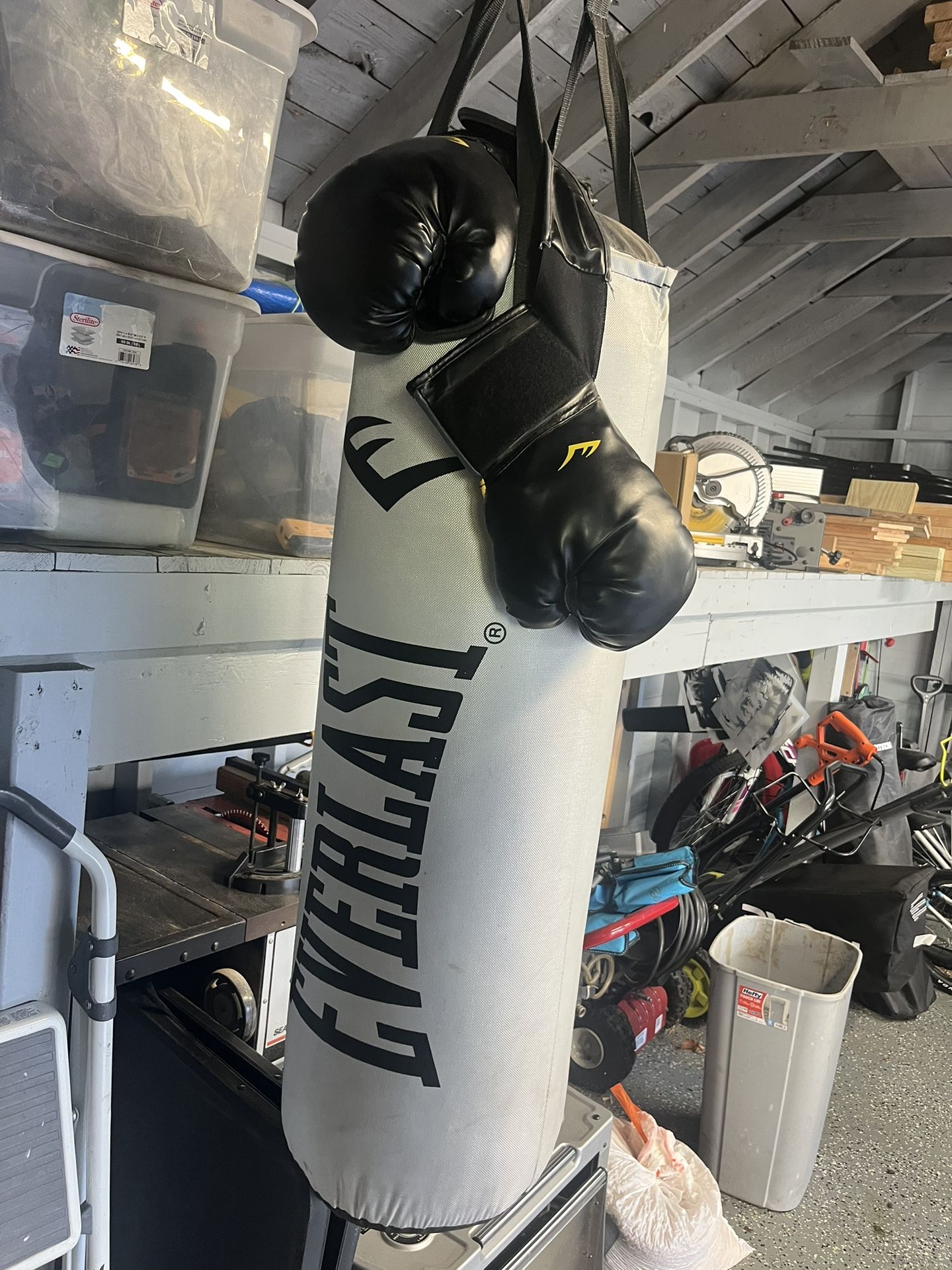 Everlast Boxing Bag With Chain & Set Of Everlast Gloves