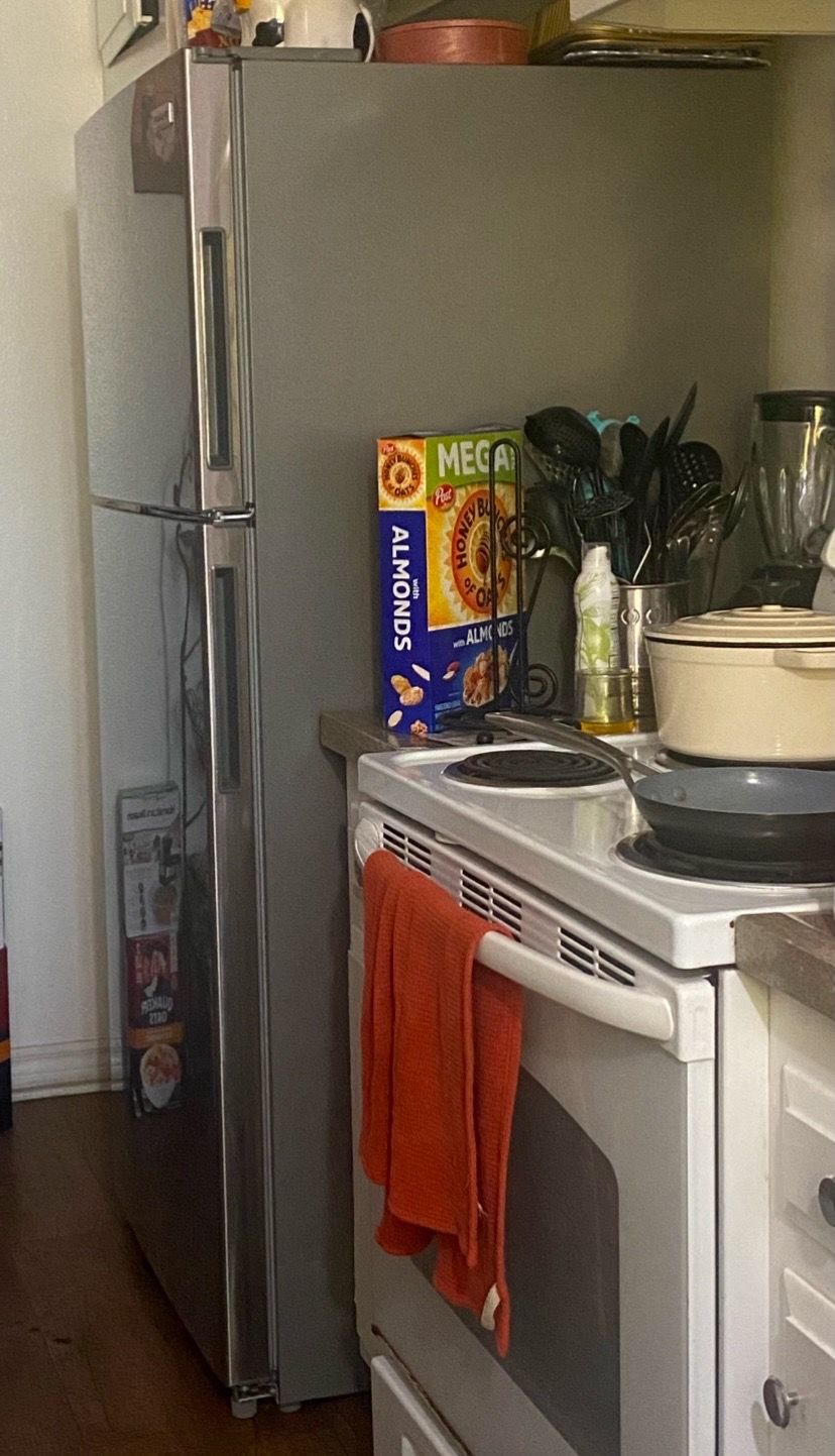 Stainless Steel with Grey Refrigerator