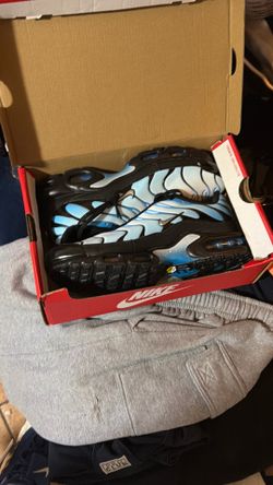Nike air max plus