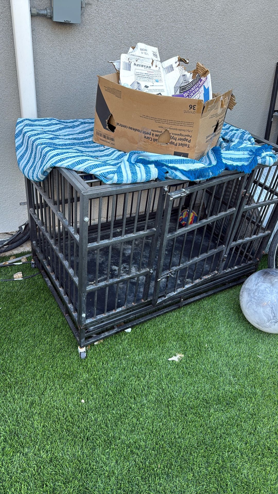 Dog Cage