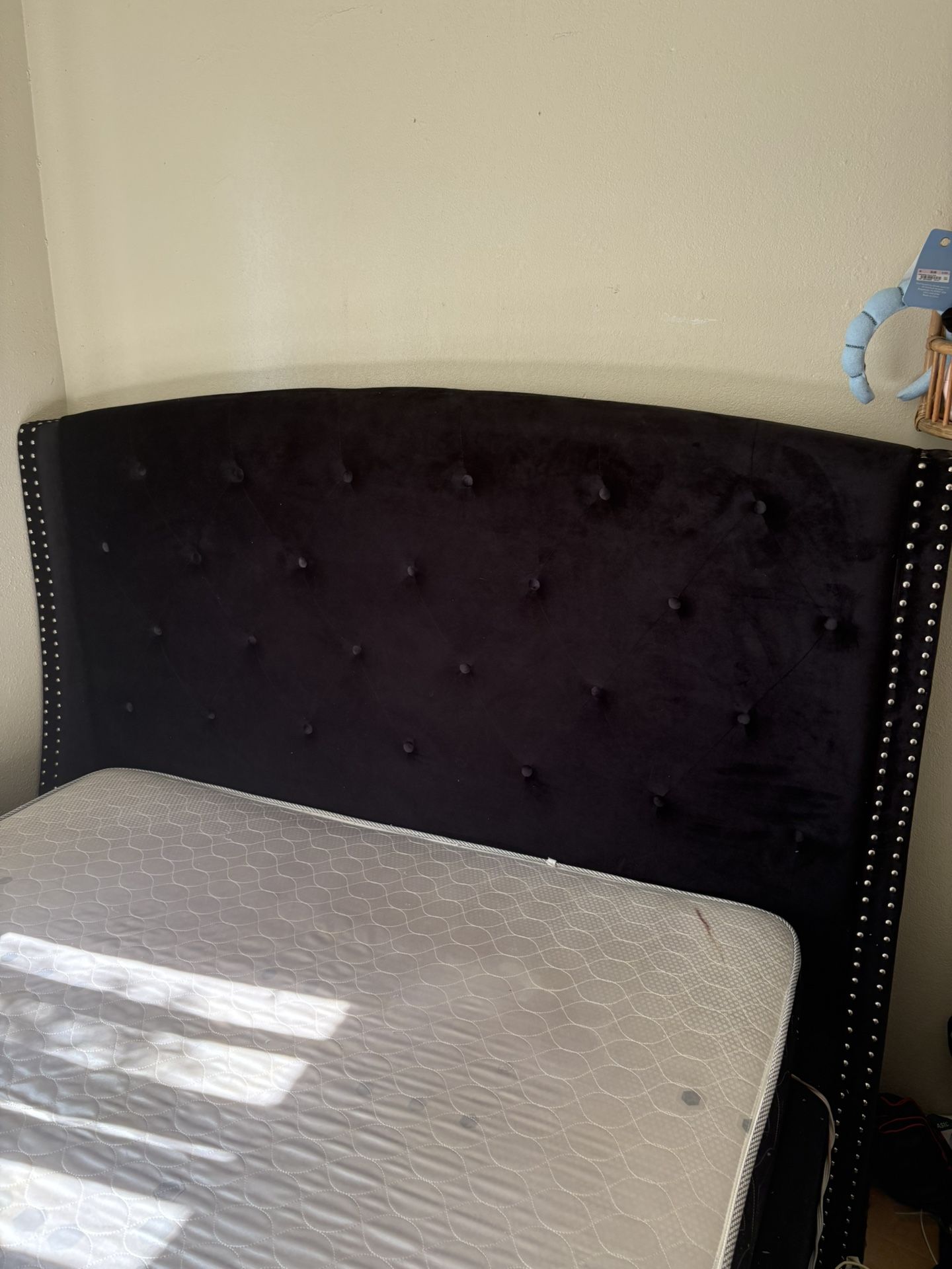Queen Bed Frame (With Mattress $100 Extra)