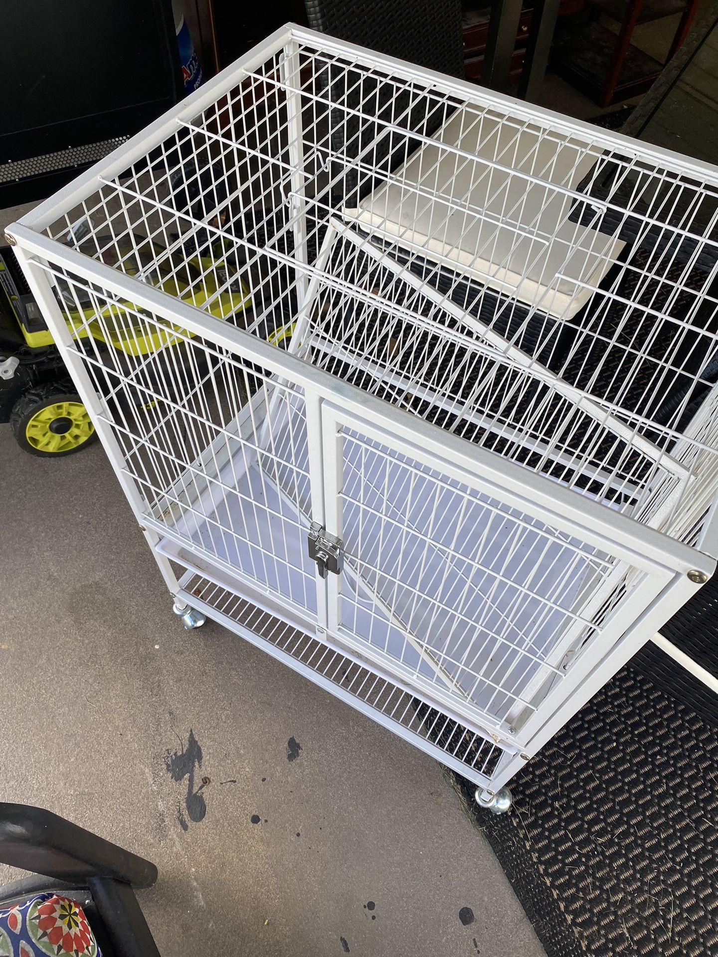 Bird Cage