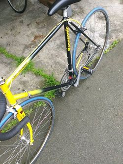 Panasonic bike