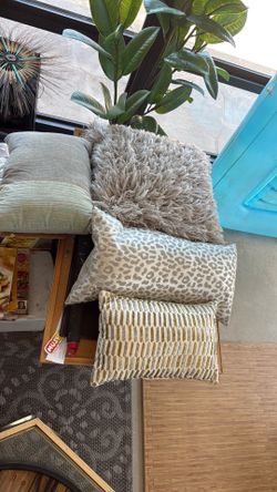 Misc accent pillows
