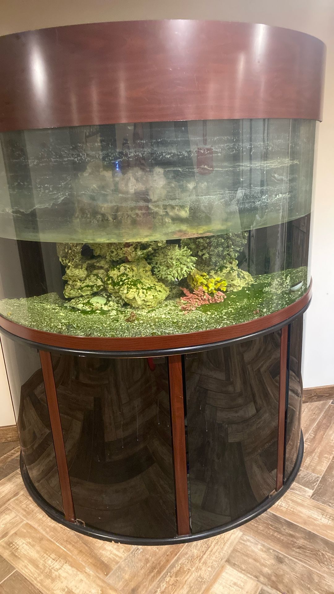 Aquarium