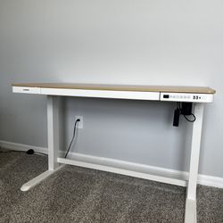 Flexispot Desk