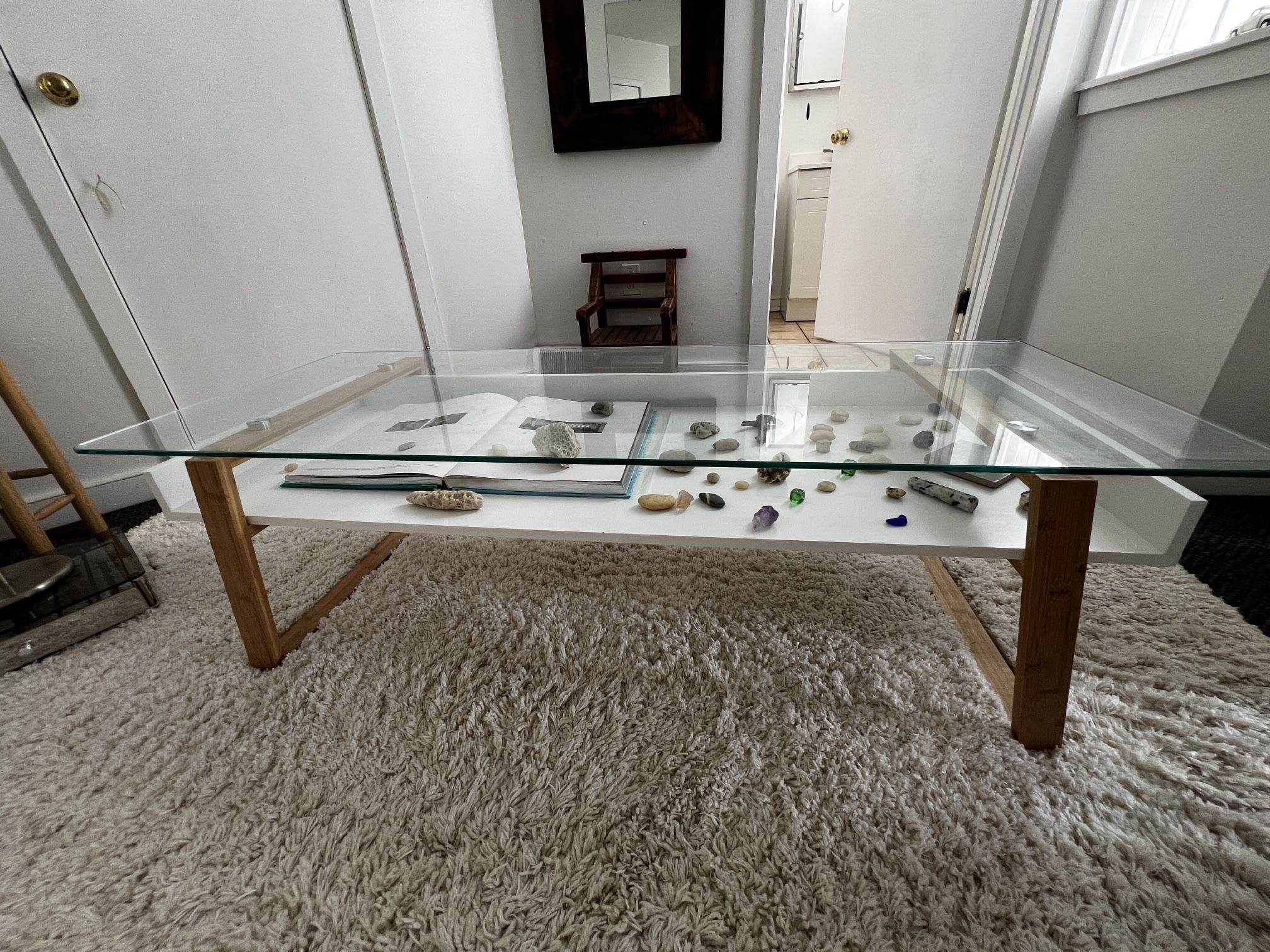 Modern Glass Top Coffee Table With Shelf Display/Wood Legs