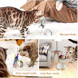 Cat Toys for Indoor Cats,
