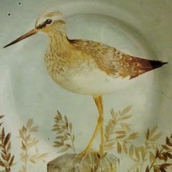 Set of 4 Sandpiper Bird Plates. Art. RARE. Gottschlag Signed. Shore birds. Beach Theme