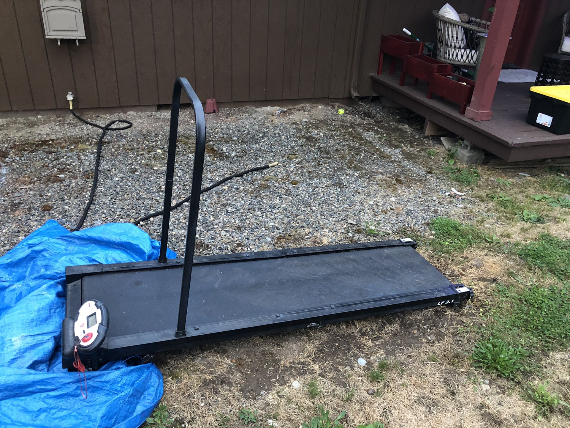 Dog Pacer treadmill for sell