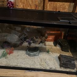 40 Gallon Tank