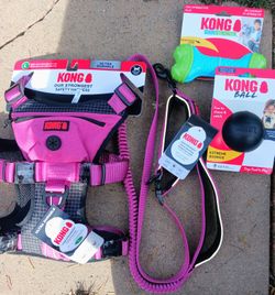 Kong Dog Lot