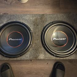 Two 12 INCH SUBWOOFERS