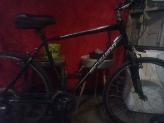 Schwinn searcher