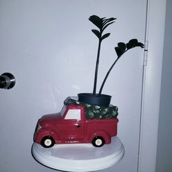 Plant holder includes plant 
