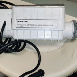Pentair Salt Cell Chlorinator