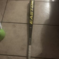 Baseball Bats Easton S1