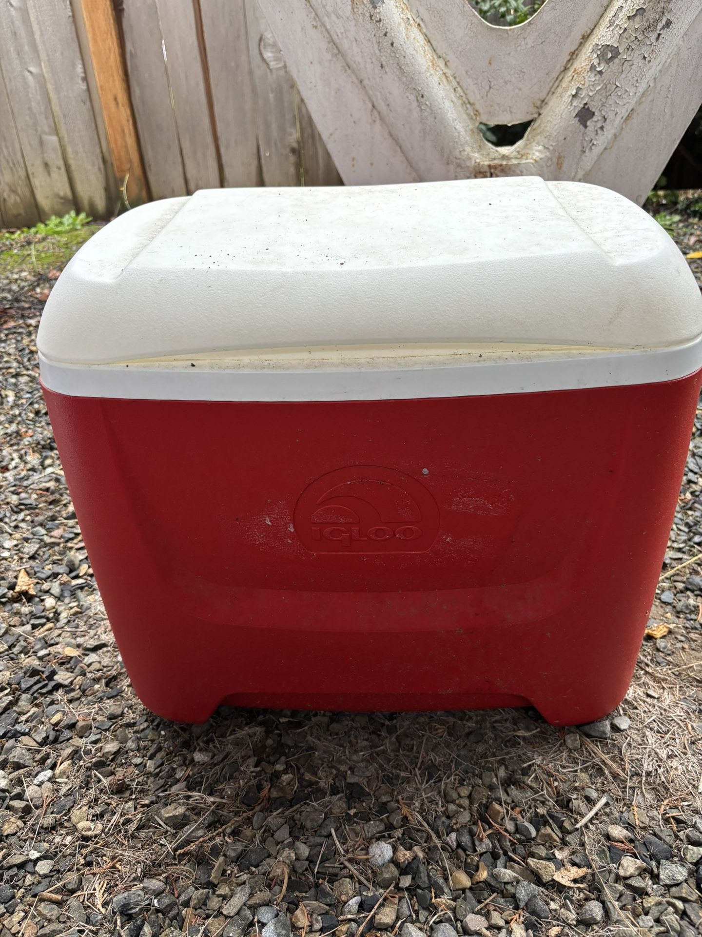 Igloo Cooler