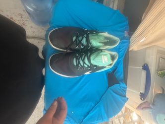Tenis