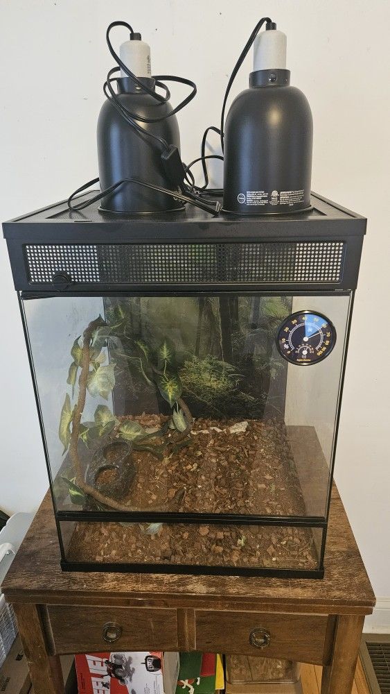 Terrarium For Sale