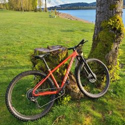 Spacialized Rock Hopper 