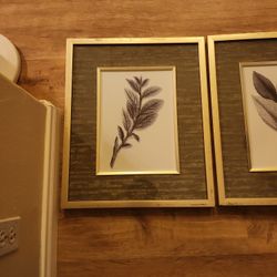 2 Pictures Of Plants