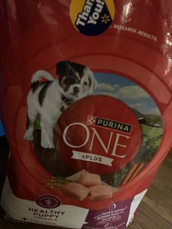 Husky puppy food