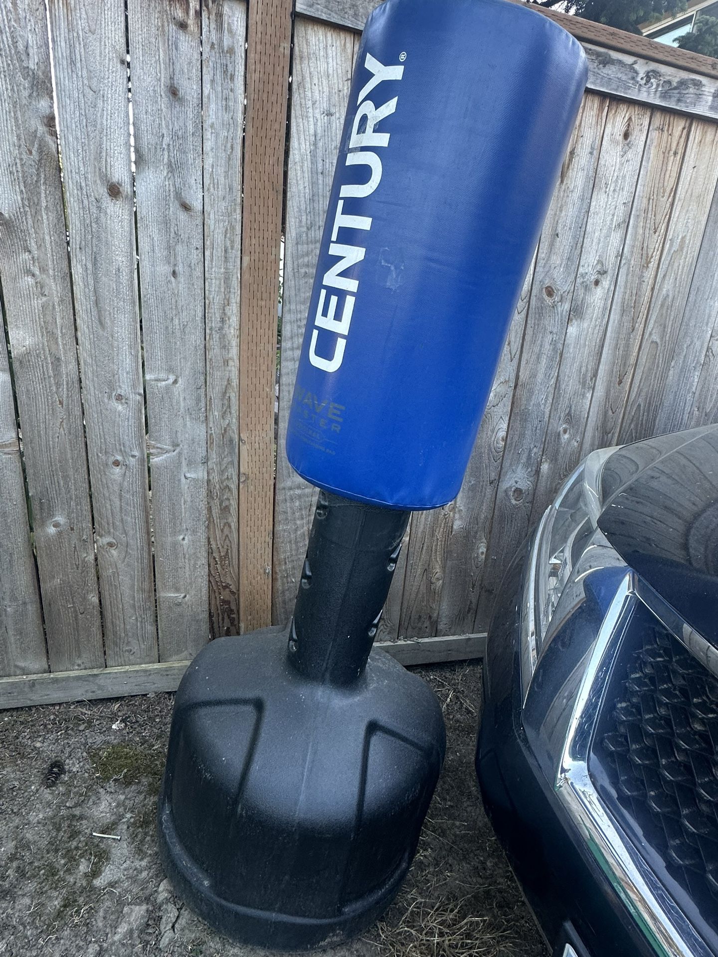 Century Free-stand Punching Bag