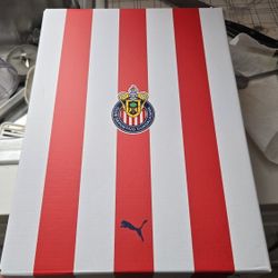 Tenis Puma Version Chivas