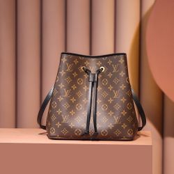 Louis Vuitton A lady's bag