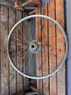 Shimano/sun 26” 8 speed Mtb wheel
