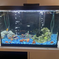 20 Gallons Fish Tank With Decor